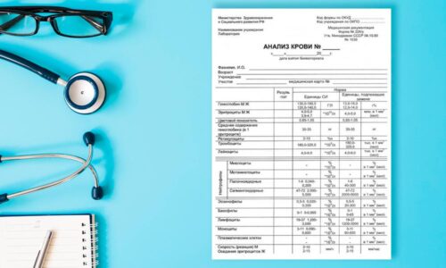 Справка по форме 224у